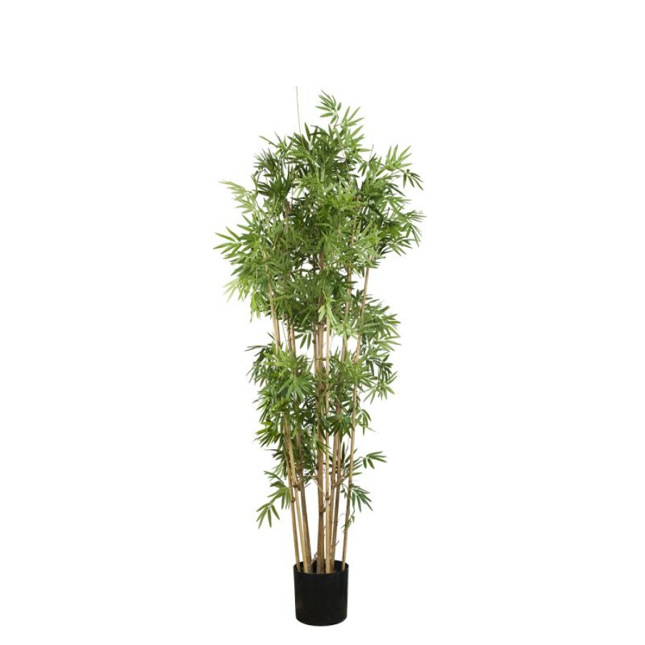 Decoration * | Florabelle Japanese Bamboo Tree 160Cm Latest Fashion