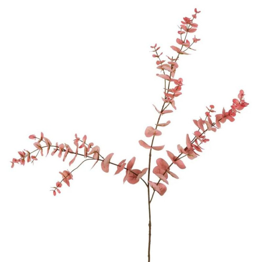 Decoration * | Florabelle Eucalyptus Spray Stem Pink 1 Metre On Sale