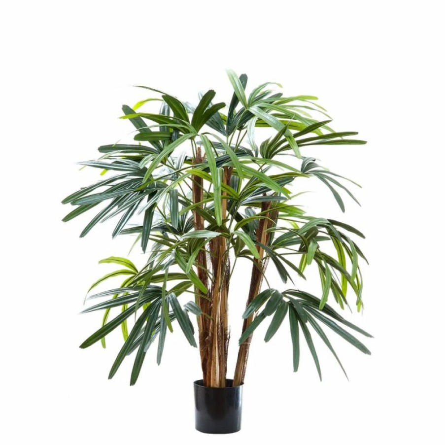 Decoration * | Florabelle Raphis Palm Tree 1M Less Expensive