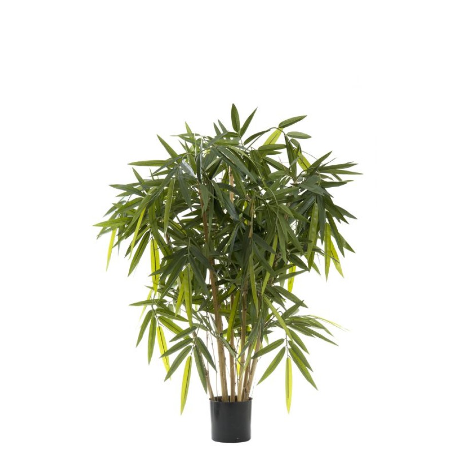 Decoration * | Florabelle New Bamboo Tree 100Cm On Sale