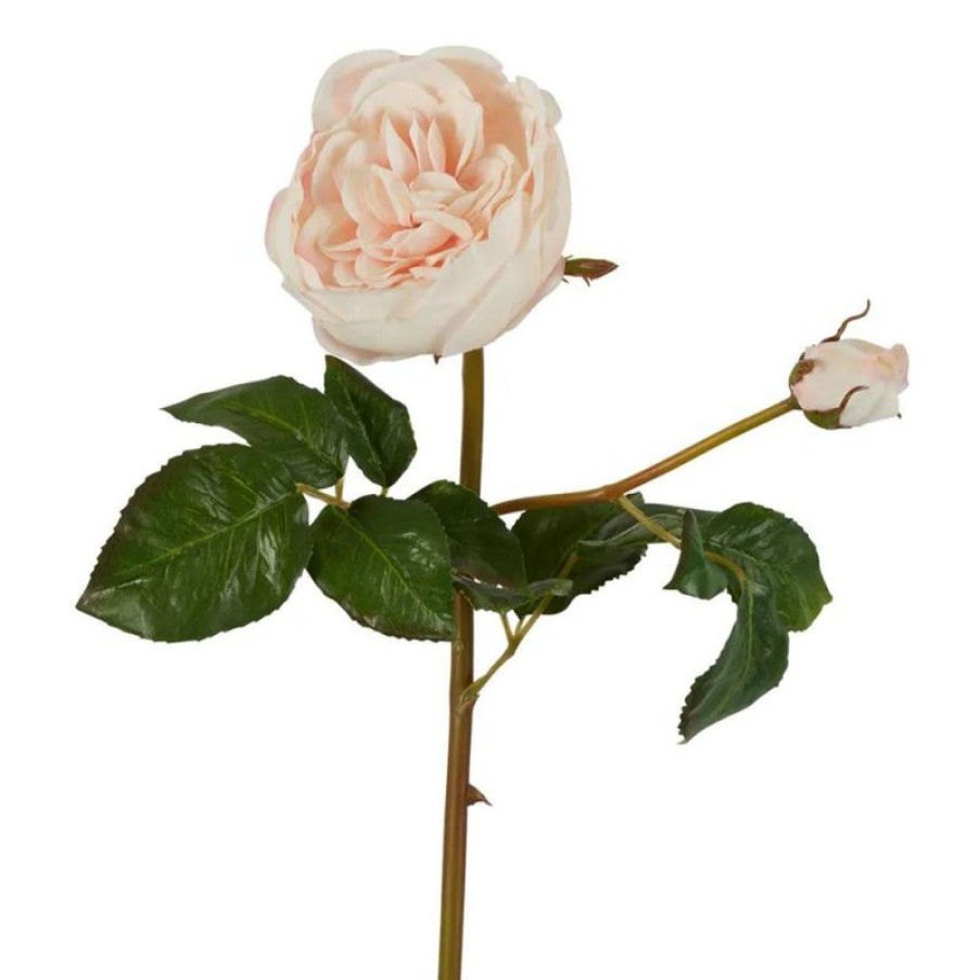 Decoration * | Florabelle Cabbage Rose Stem Real Touch Blush 47Cm Promotion