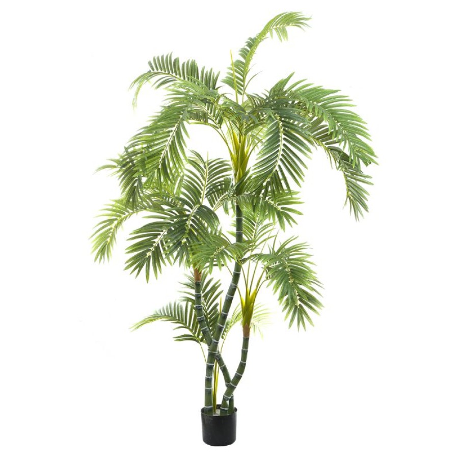 Decoration * | Florabelle Parlour Palm Twisted Trunk 150Cm Promotion