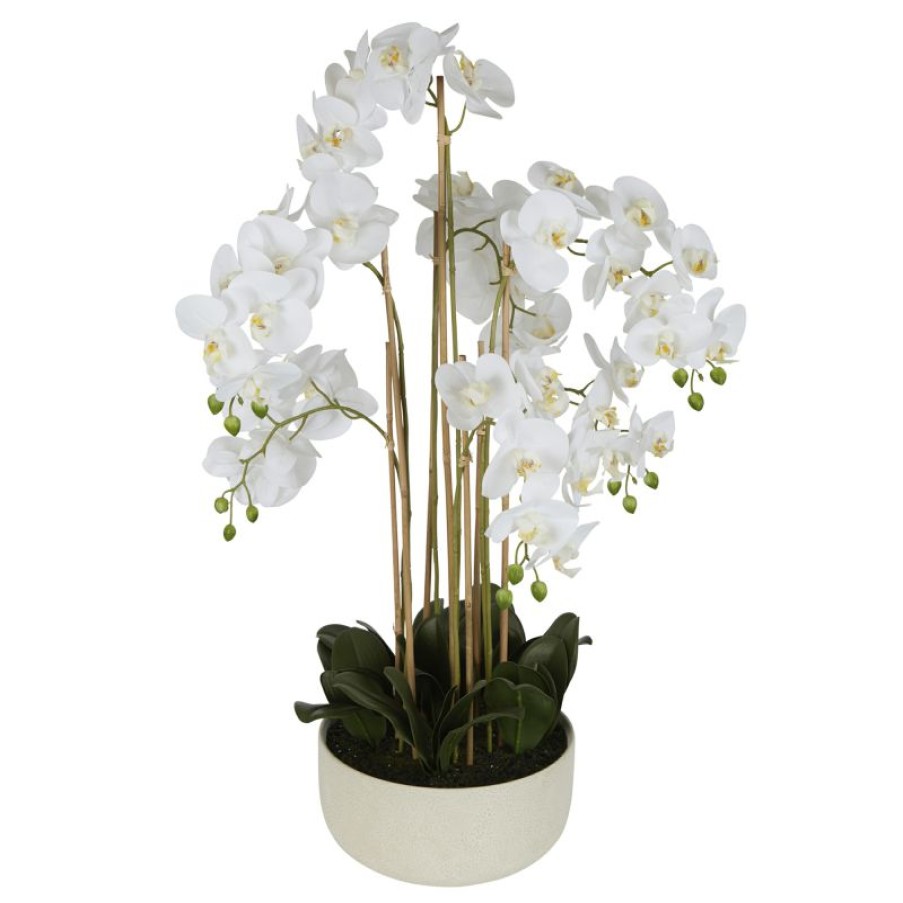 Decoration * | Florabelle Orchid Potted Real Touch White 100Cm Cheaper