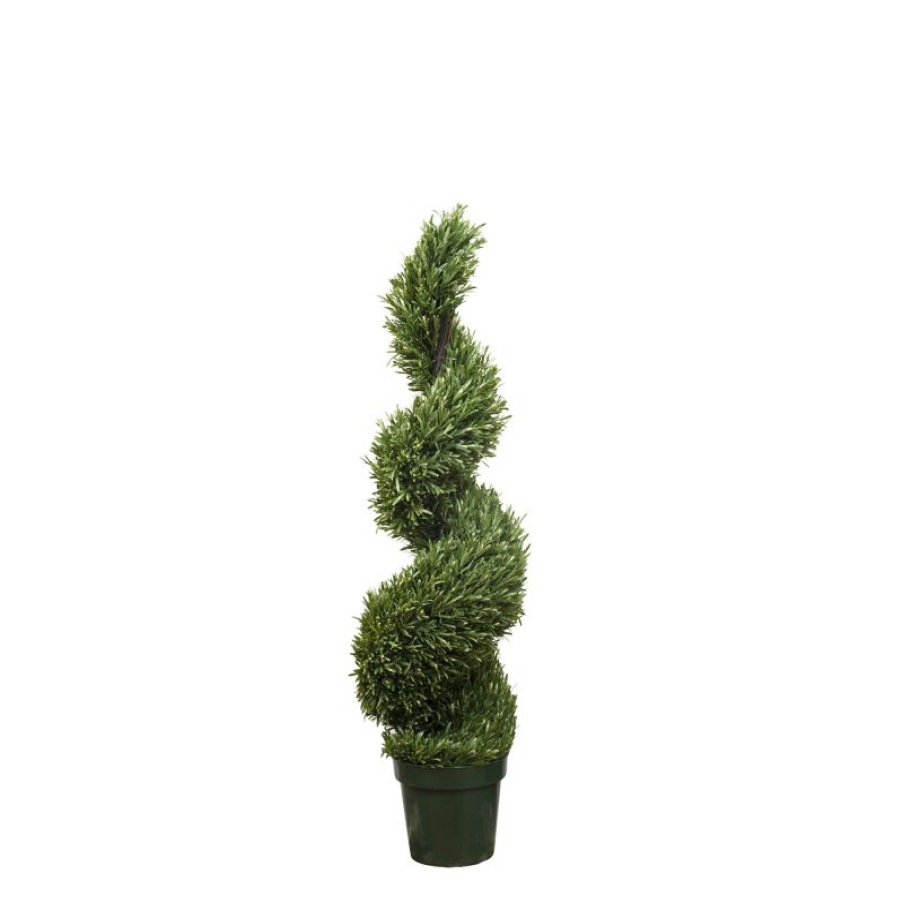 Decoration * | Florabelle Rosemary Spiral Tree 1.2M Online Store