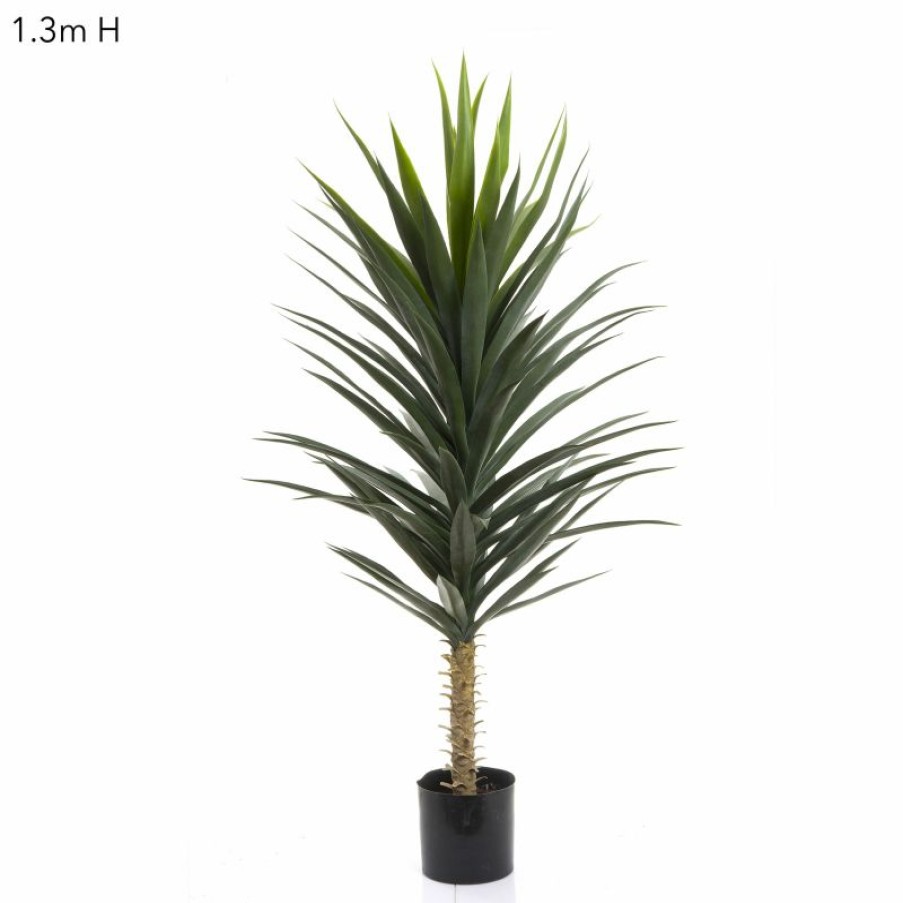 Decoration * | Florabelle Yucca Plant 130Cm Clearance