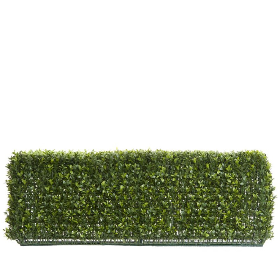 Decoration * | Florabelle Boxwood Hedge 25X95Cm Promotion