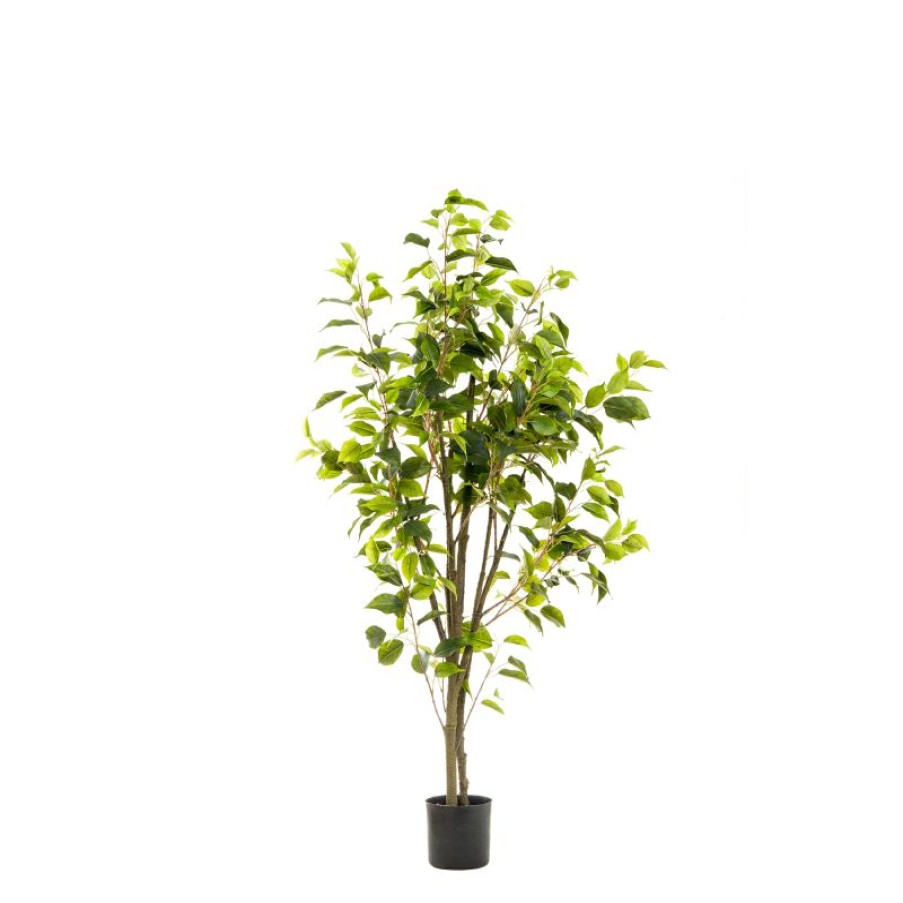 Decoration * | Florabelle Ficus Tree Potted 120Cm Discounts Online