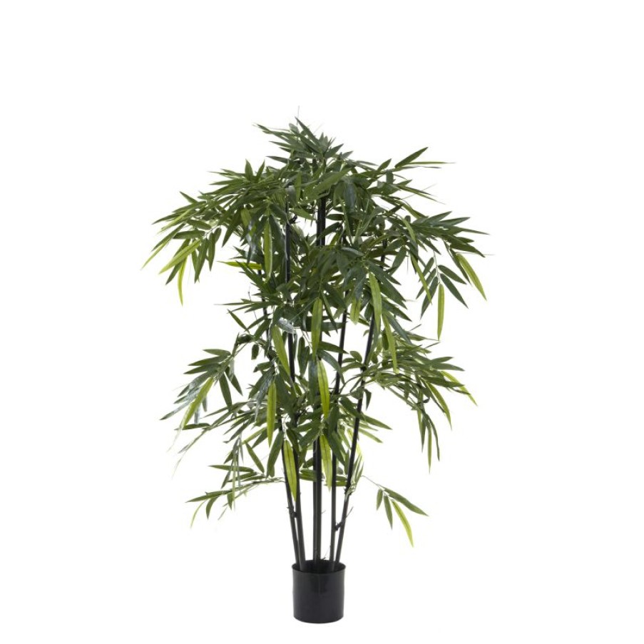 Decoration * | Florabelle New Bamboo Tree Black Stem 150Cm Less Expensive