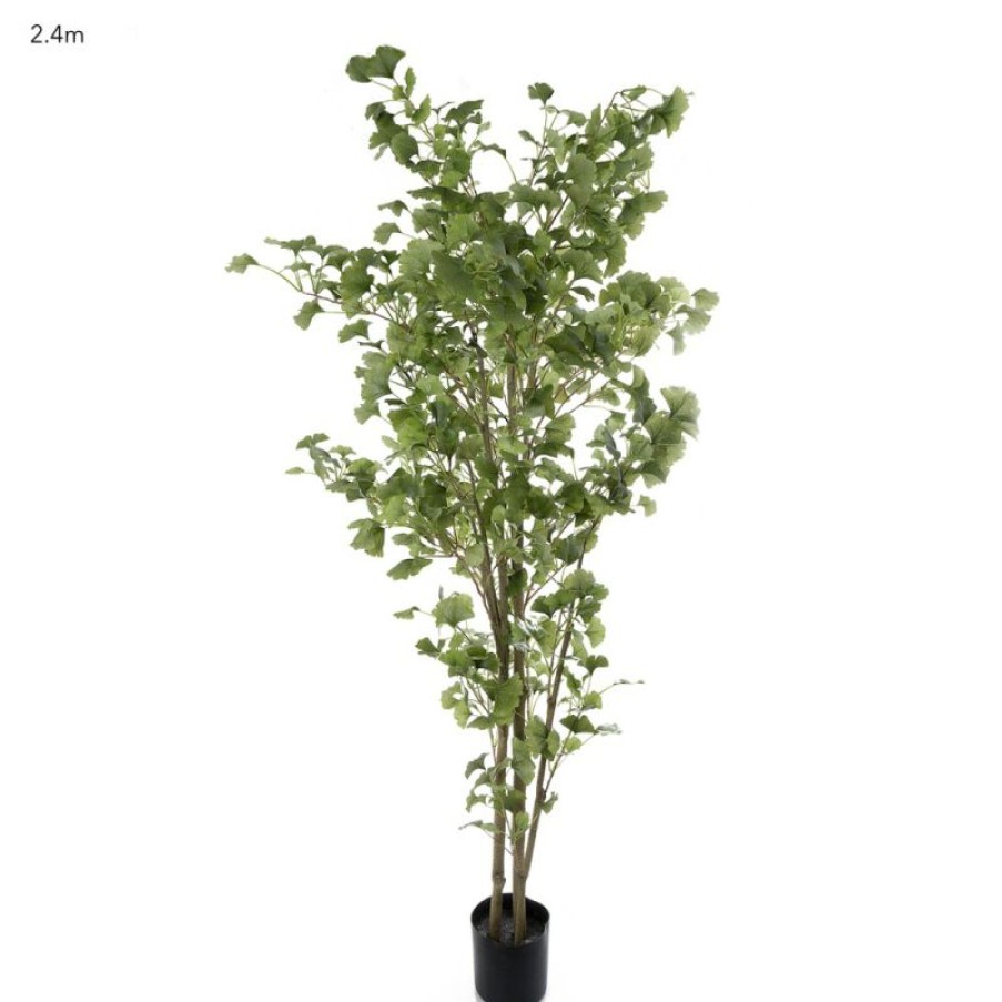 Decoration * | Florabelle Ginko Tree Potted 2.4M New Collections