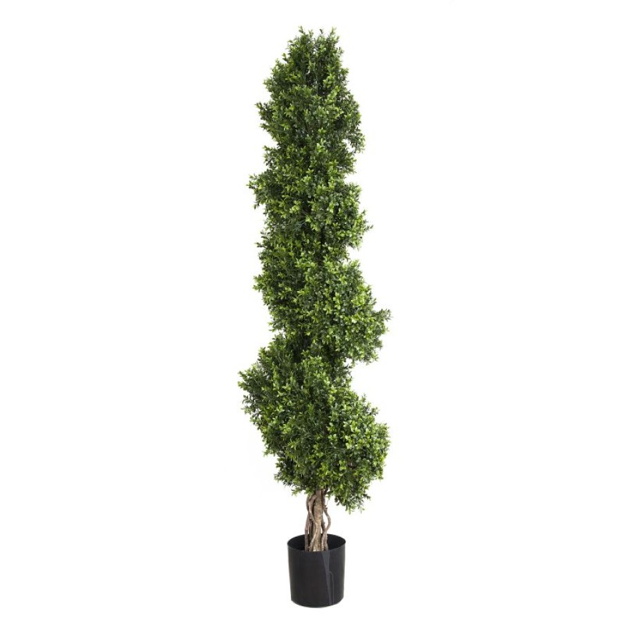 Decoration * | Florabelle Boxwood Spiral Tree 190Cm Cheaper