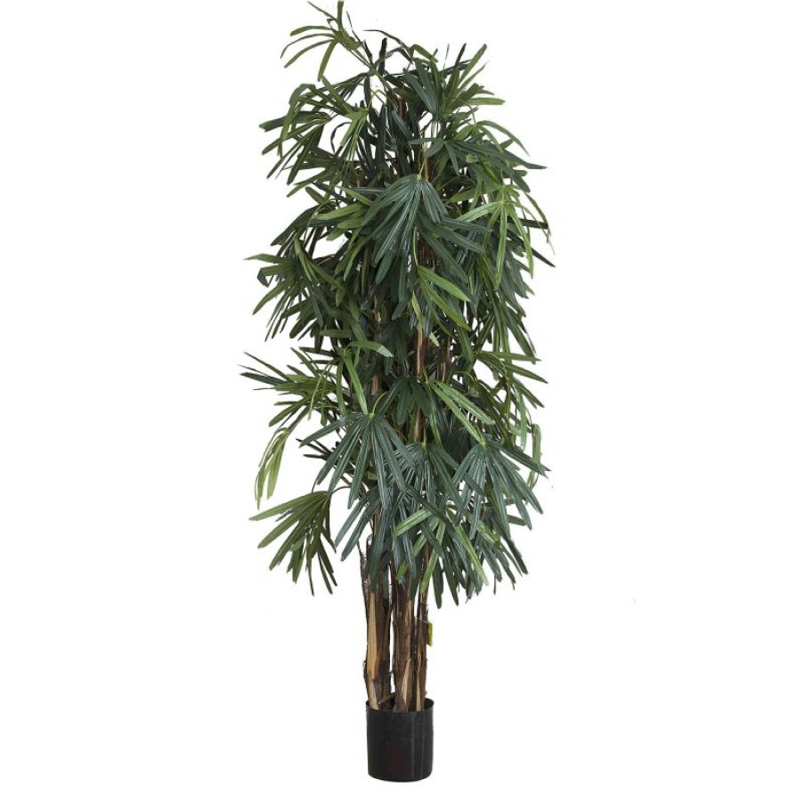 Decoration * | Florabelle Raphis Palm Thin Leaf Tree 200Cm Fire Sale