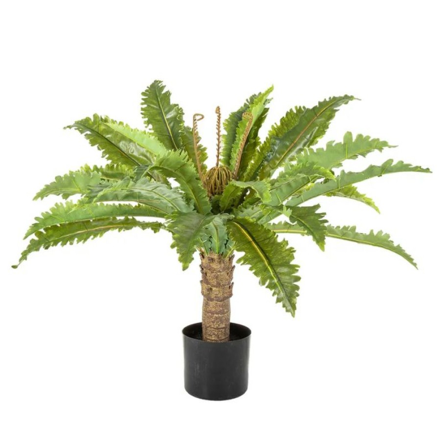 Decoration * | Florabelle Fern Palm In Black Pot 71Cm Affordable Price