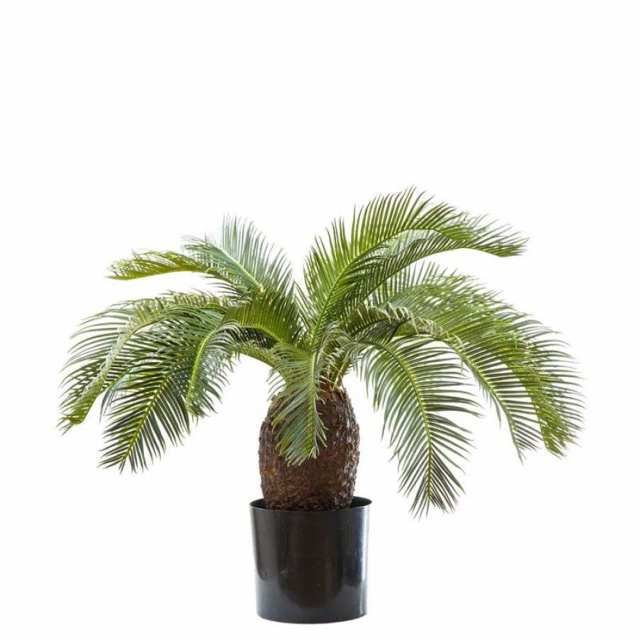 Decoration * | Florabelle Cycus Palm Tree 65Cm Affordable Price