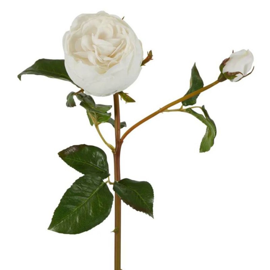 Decoration * | Florabelle Cabbage Rose Stem Real Touch White 47Cm Nice Style