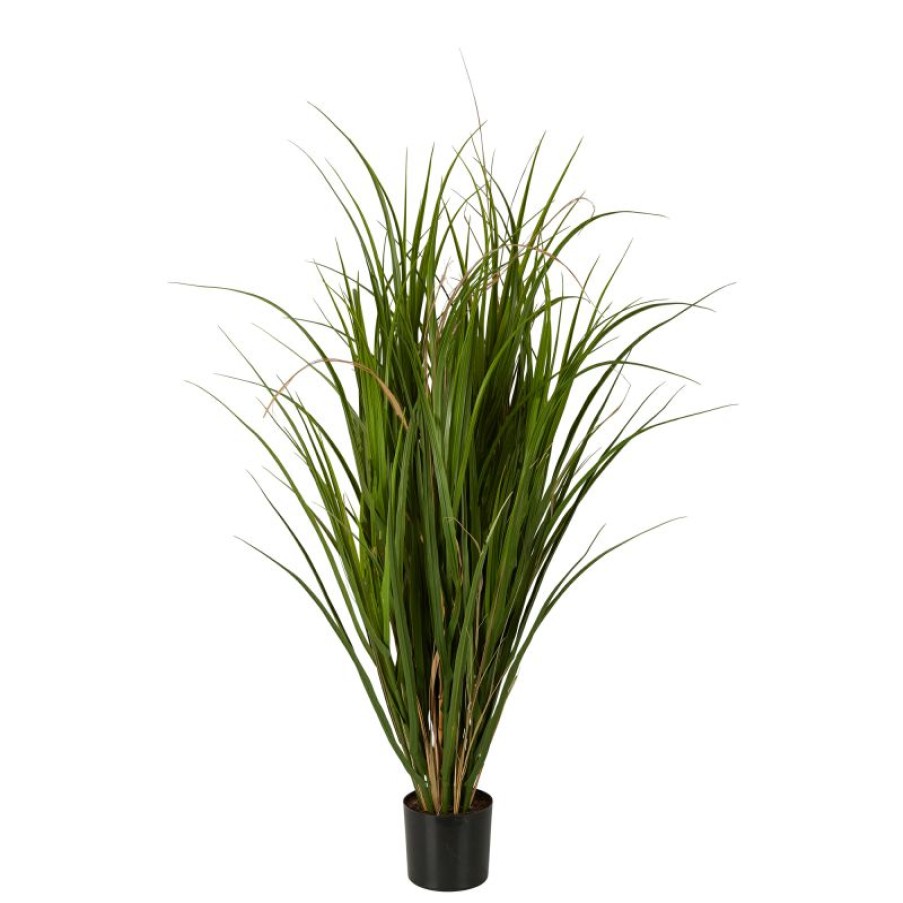 Decoration * | Florabelle Reed In Pot 95Cm Excellent Quality