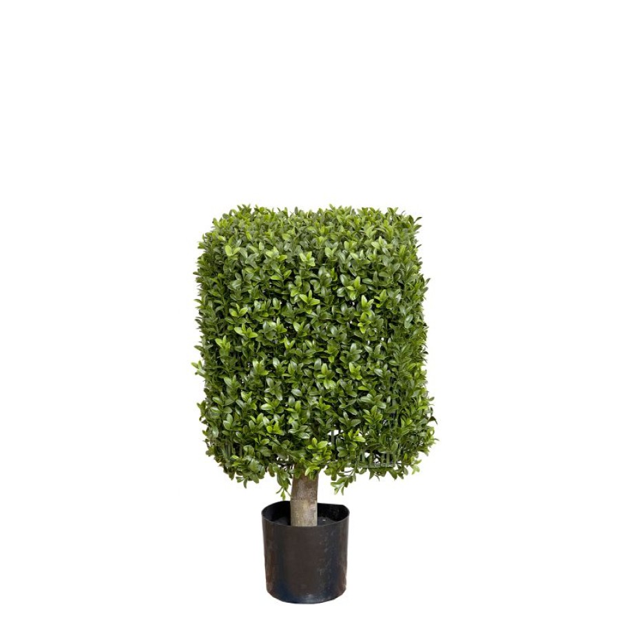 Decoration * | Florabelle Boxwood Square Top 55Cm Online Store