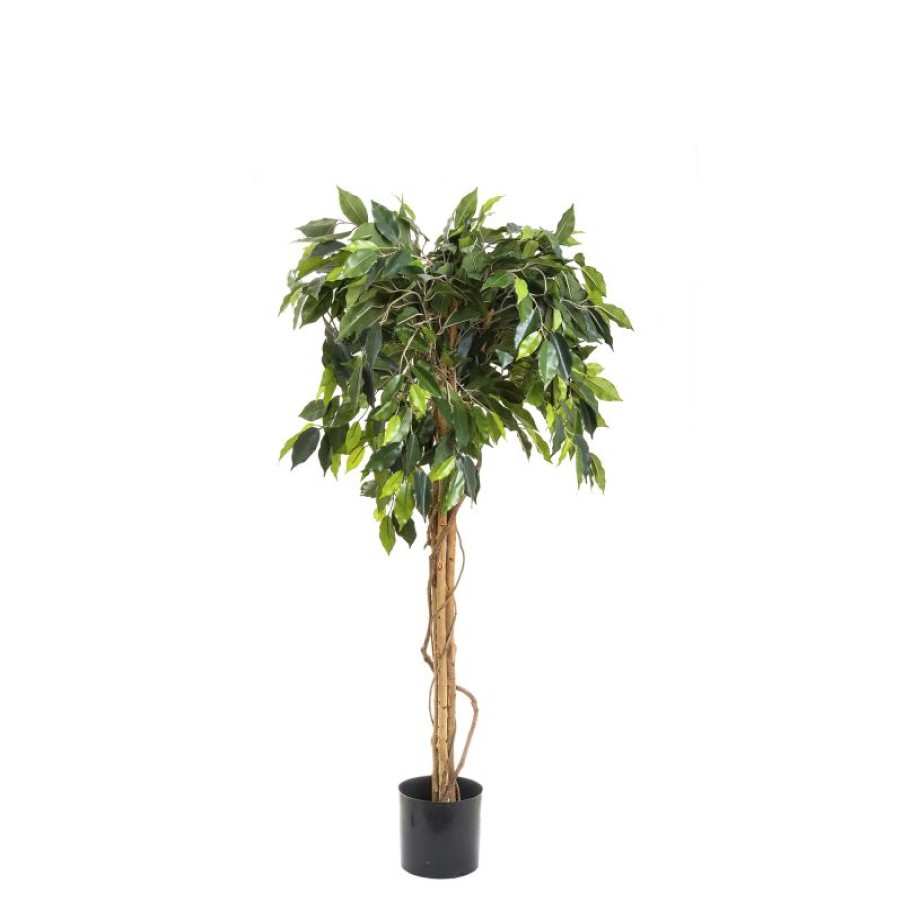 Decoration * | Florabelle Ficus Ball Tree 120Cm Promotions